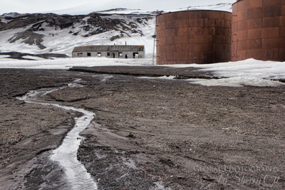 ����� ������ �����-������� � ����������