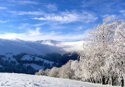 �������: ����� �������